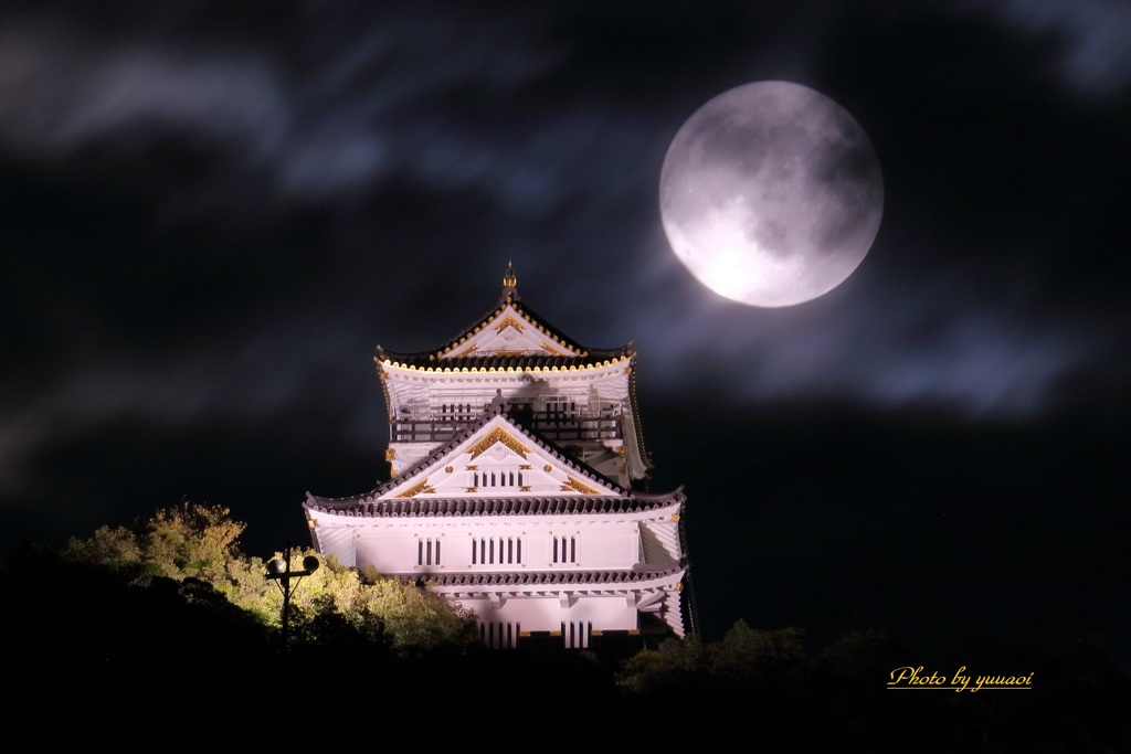 岐阜城と月