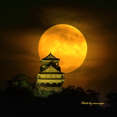 岐阜城に月明り