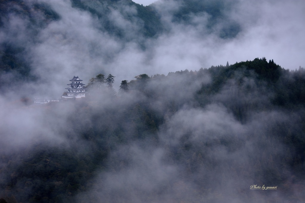 朝霧の山城