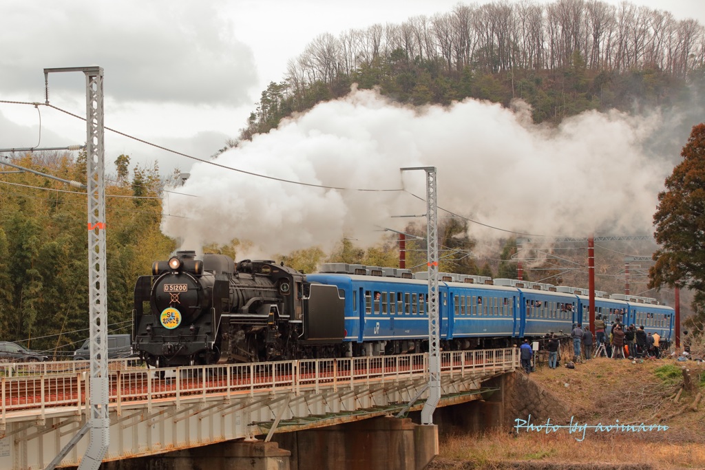 SL D51