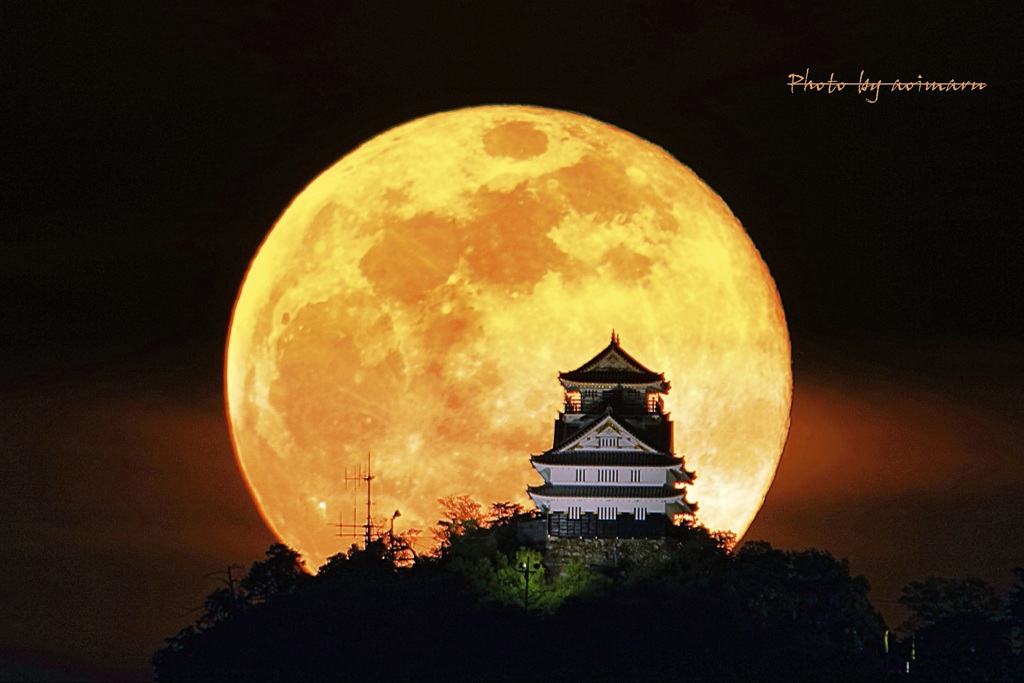 魅惑の岐阜城と満月