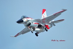 F-2テスターカラー　岐阜基地