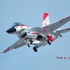 F-2テスターカラー　岐阜基地