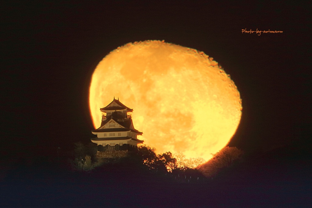 魅惑の岐阜城