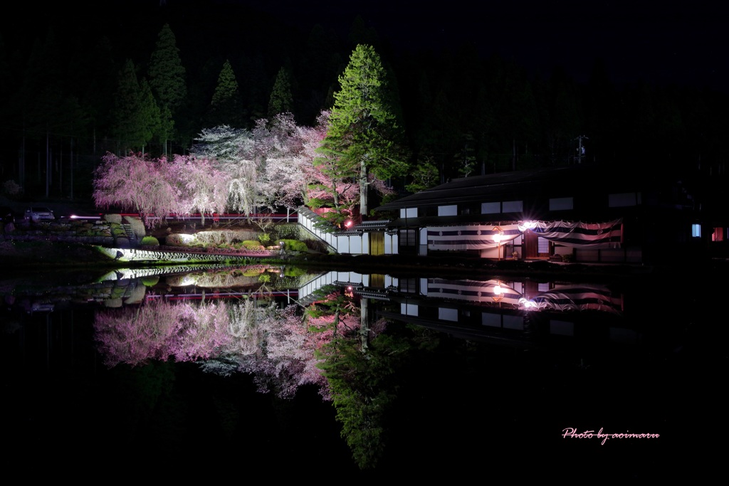 飛騨桜めぐりⅡ
