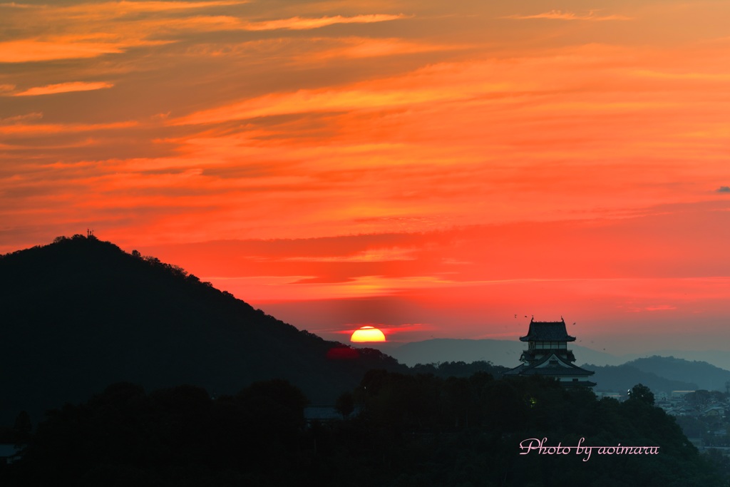 犬山城夕景