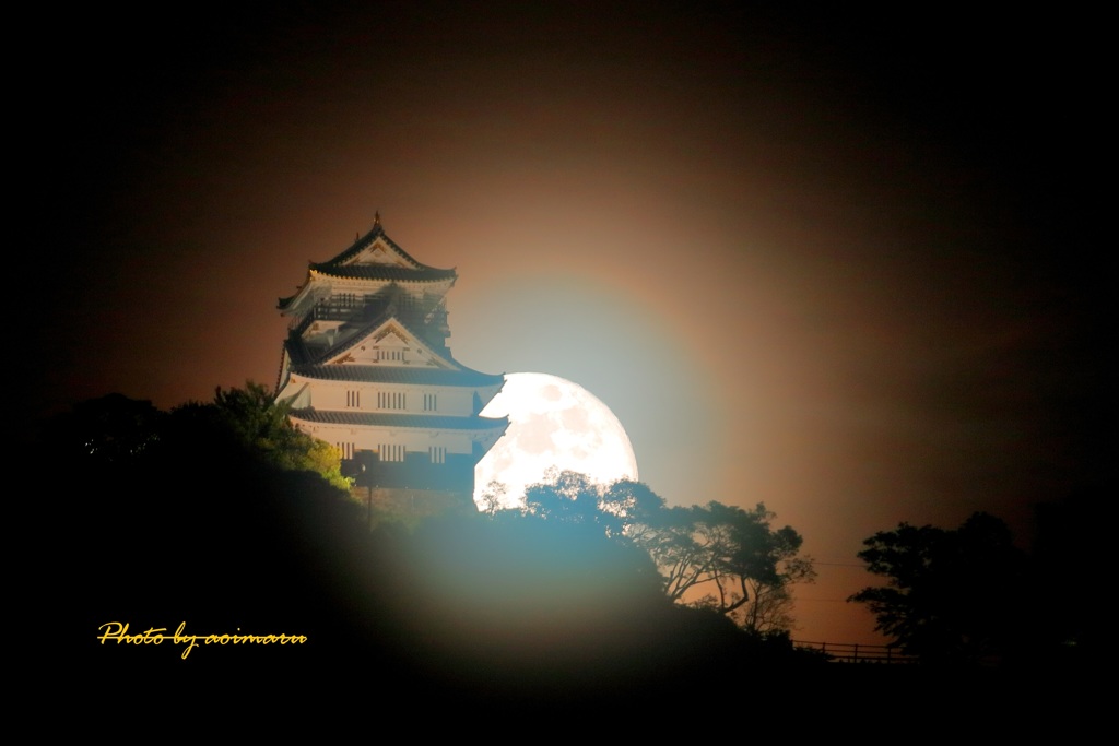 岐阜城と朧月