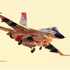 f-2 岐阜基地