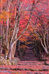 鶏足寺　Ⅱ