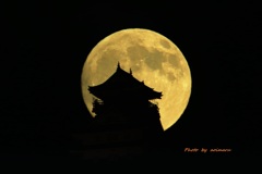 魅惑に岐阜城４