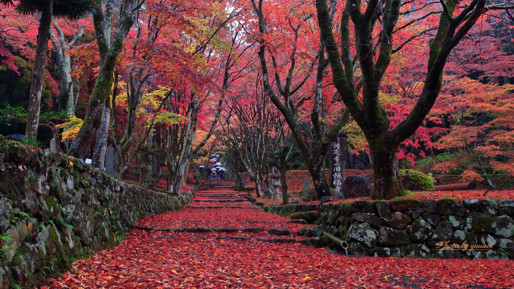 鶏足寺
