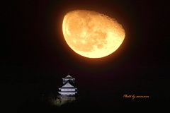 おまけ　岐阜城と半月