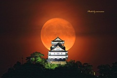 岐阜城に赤い月