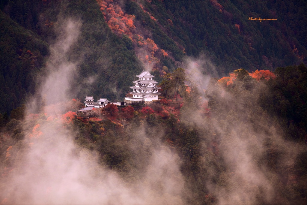 魅惑の郡上八幡城