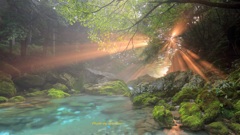 夏の思い出　赤い光芒