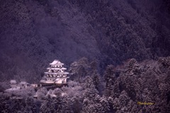 郡上八幡城冬景