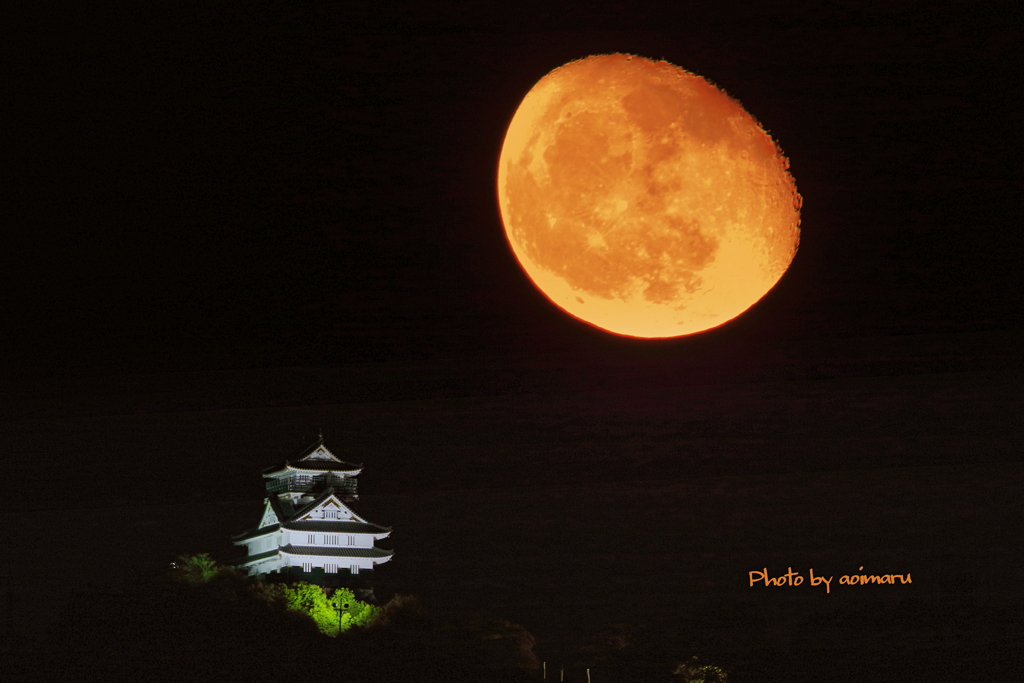岐阜城と月