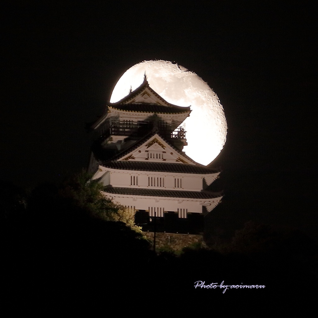 岐阜城と月