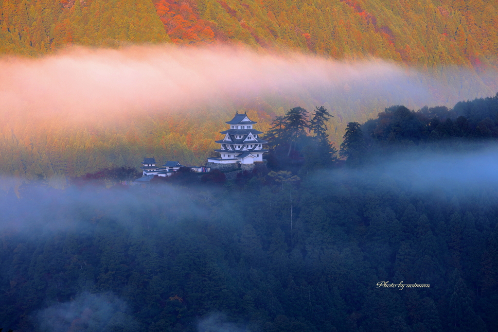 雲上の郡上八幡城