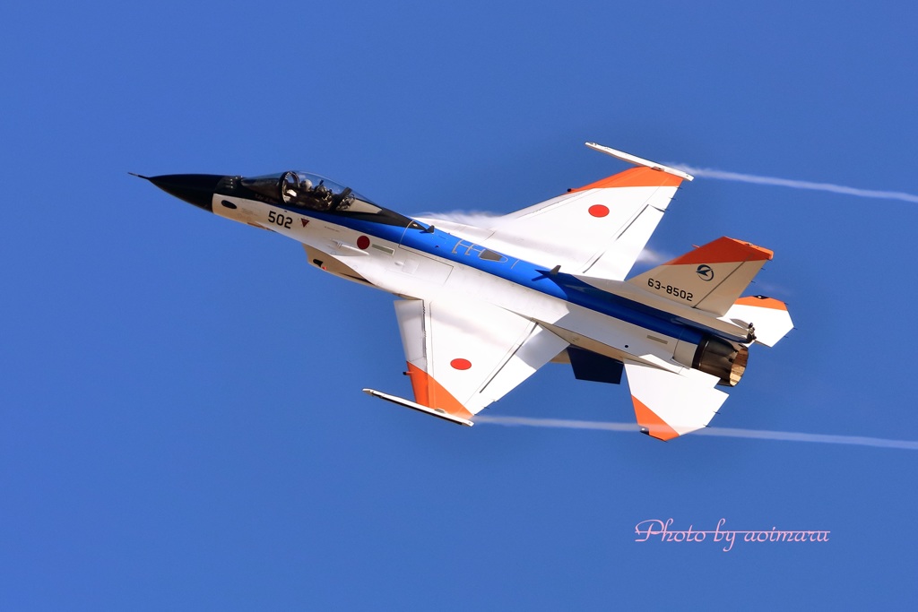 岐阜基地航空祭F-2