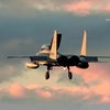 夕陽に輝く　f-15