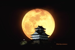 岐阜城とスノームーン