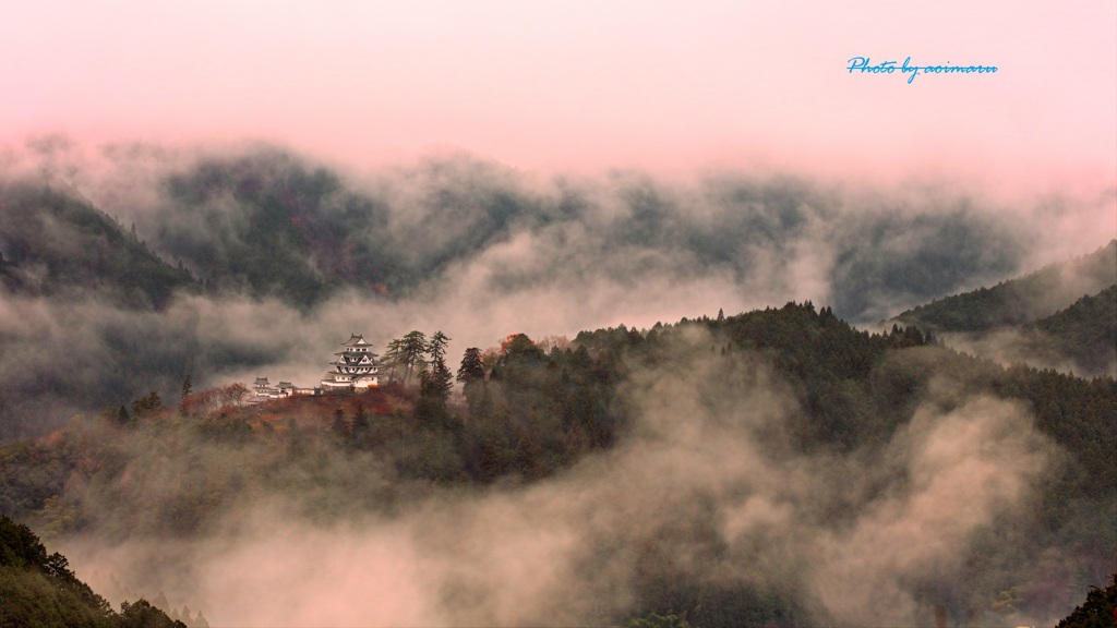 雲上の山城