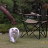 ちょと一息
