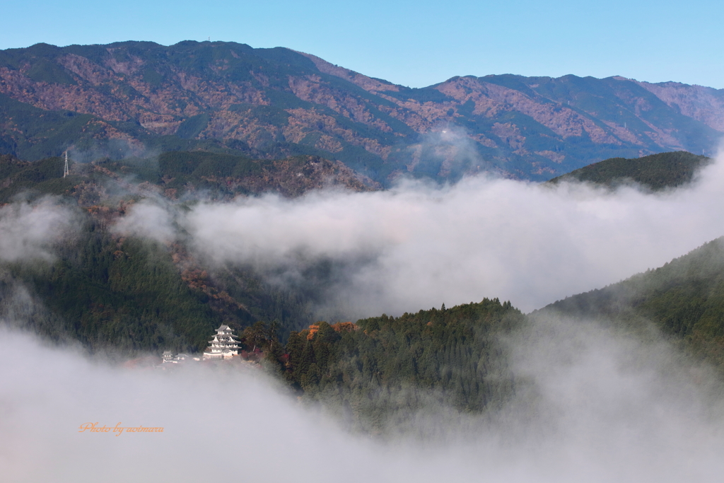 郡上八幡城　雲海の中から③