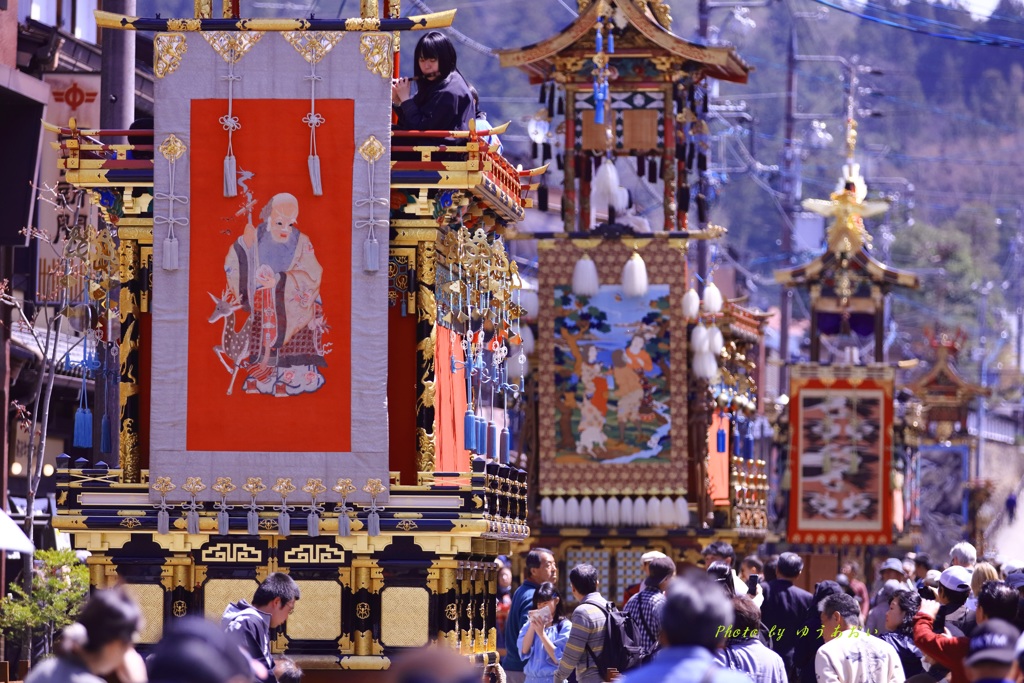 高山祭屋台総曳き揃え
