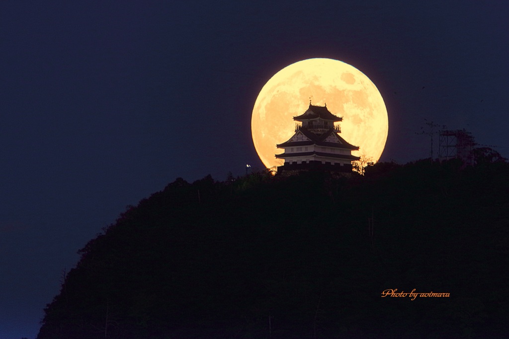 一年前の満月の夜に