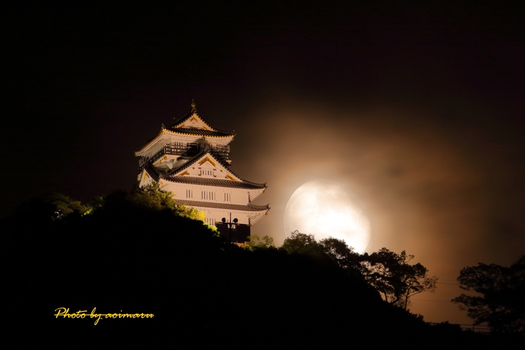 岐阜城と月