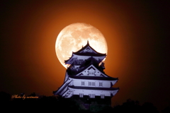 平和への願い　岐阜城と月