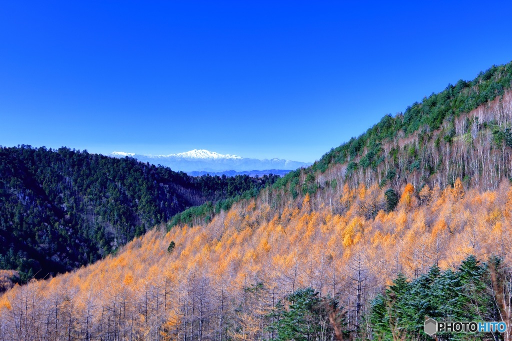 山岳道路からの景観