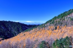 山岳道路からの景観