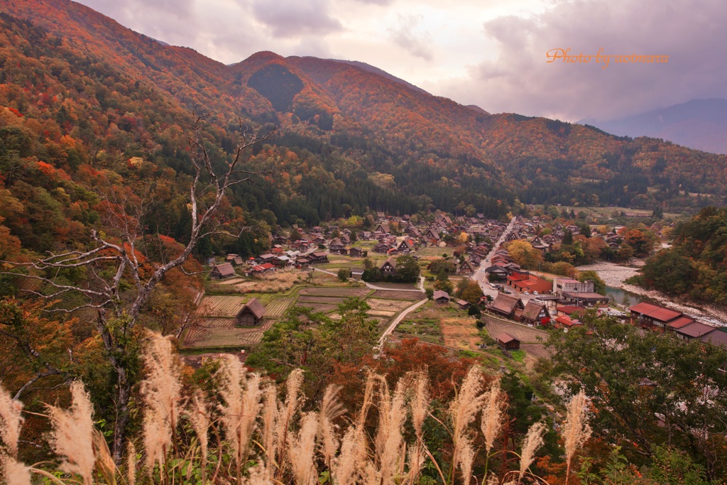 秋の白川郷