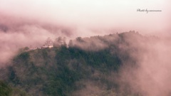 郡上八幡城