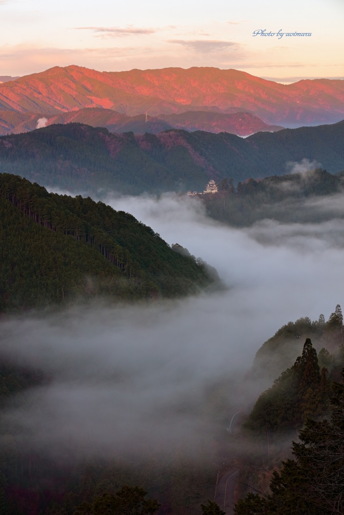 雲上の郡上八幡城