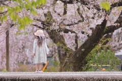 君と出会った日は