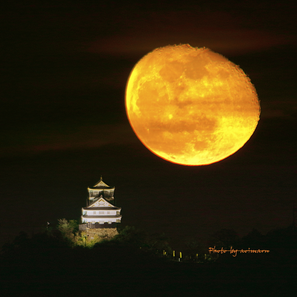 岐阜城と月