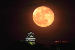 岐阜城と月