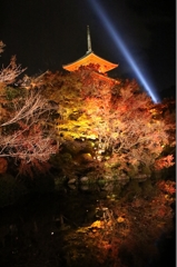 清水寺ライトアップ１