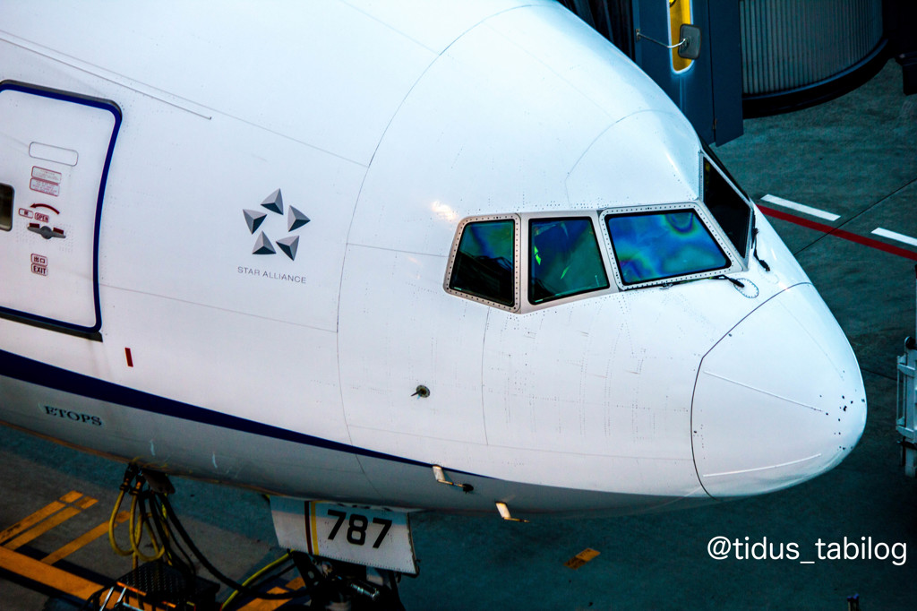 B787?