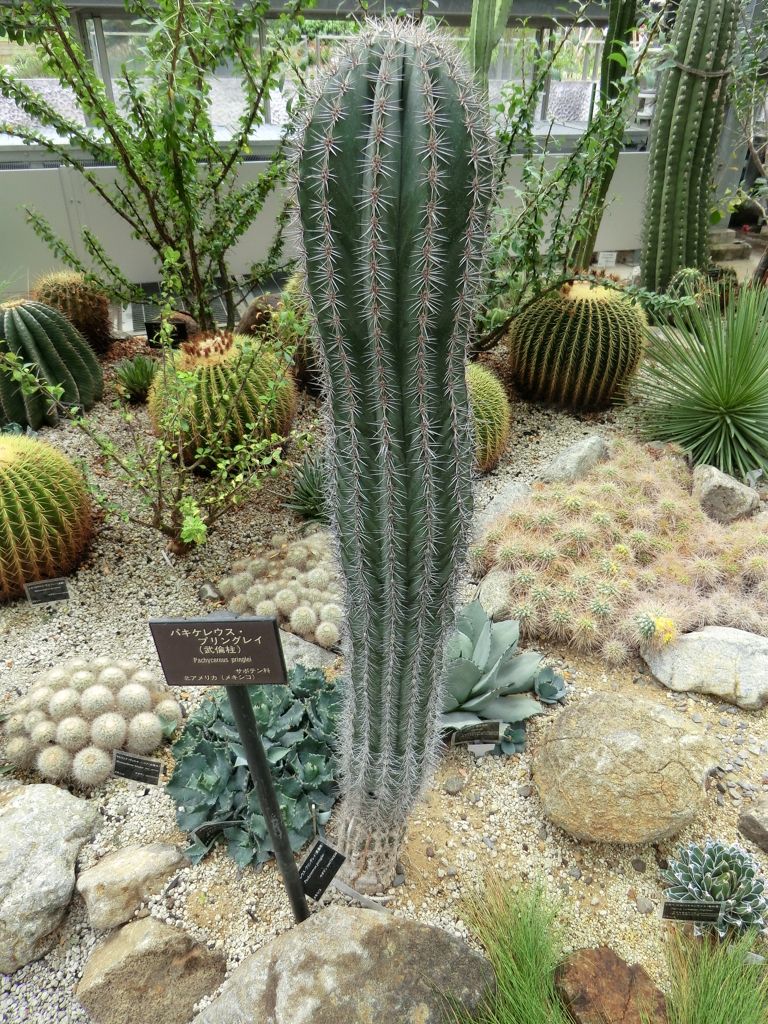 植物園１