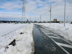 珍し雪の早解け