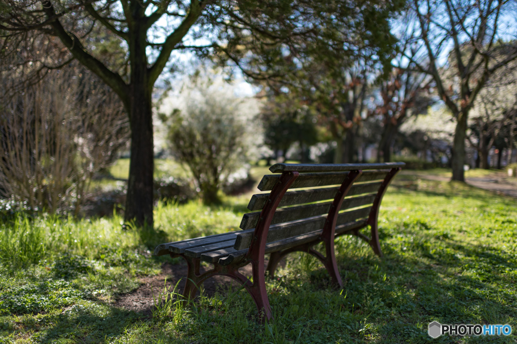 Morning-Chair