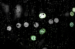 そして、週末は雨