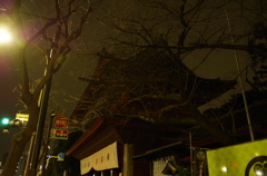 格式