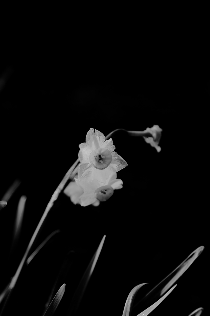 一瞬の晴れ間に