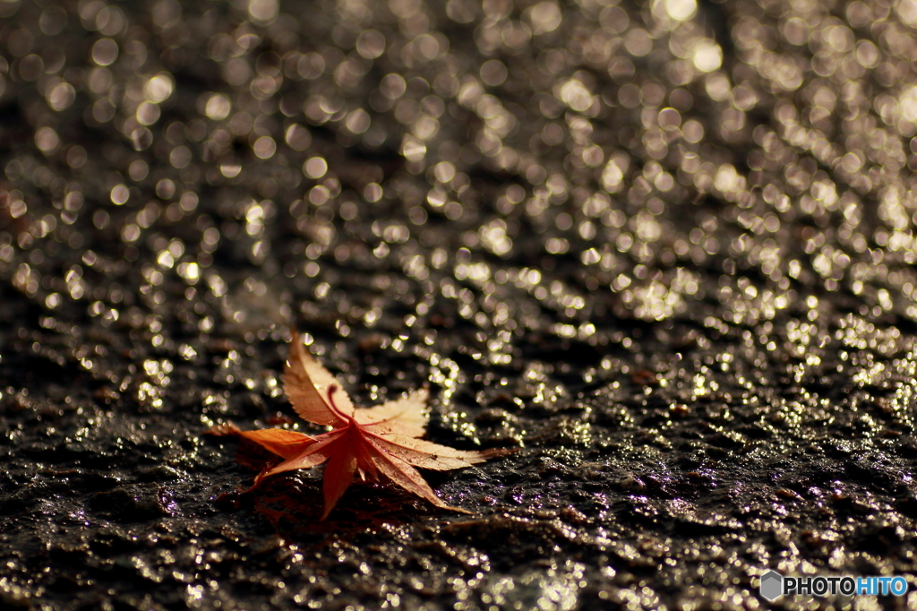 はいけいあすふぁると